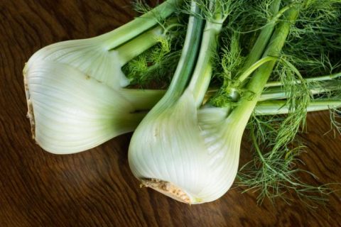 خواص رازیانه در پیاز گل ، ساقه ، برگ و دانه آن